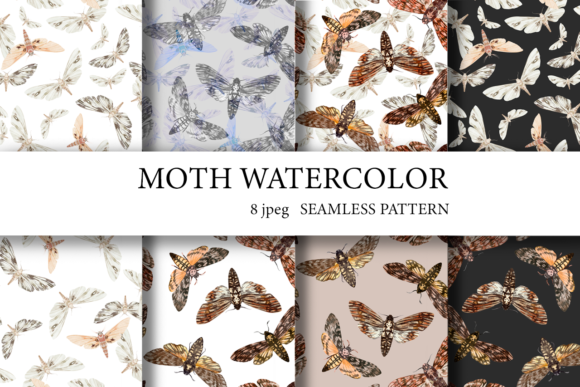 Night Moth. Moth Watercolor Patterns